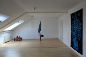 Shunia Yoga Studio
